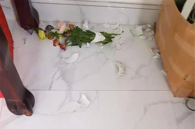 猫咪们打碎一个花瓶,主人用特殊惩罚方法,结果一个个都是戏精!