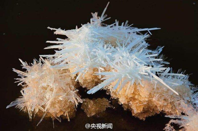 运城盐池现"硝凇"奇观