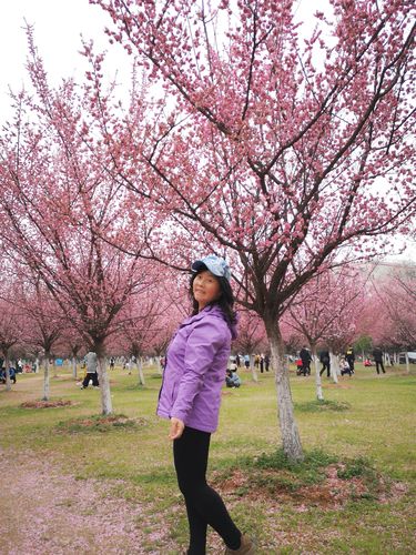 今天去江夏汉口学院赏梅花日更