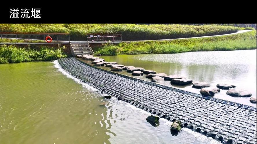 我在这儿解释一下,就是因为做了溢流堰,这些地区的鱼和虾才最容易待在