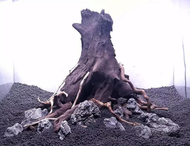 【出售】出闲置用于小方缸一木成景沉木,看上带价留言