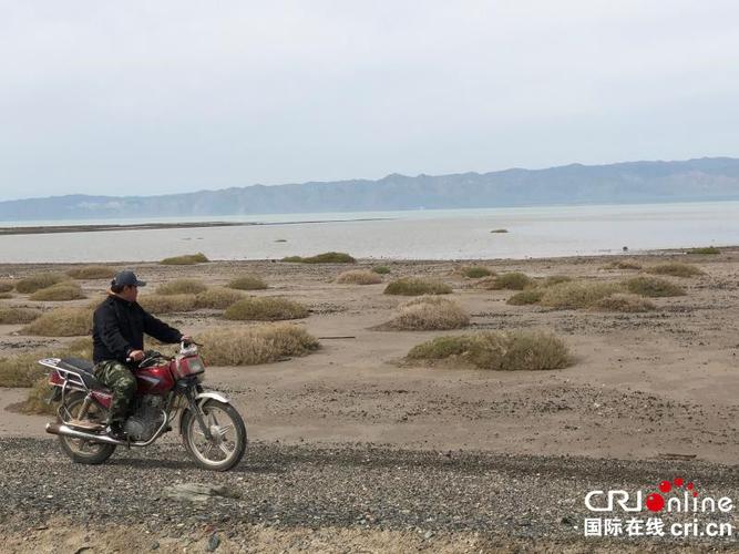 新疆艾比湖湿地国家级自然保护区生态环境持续改善