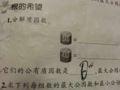 只需告诉怎么分解质因数.