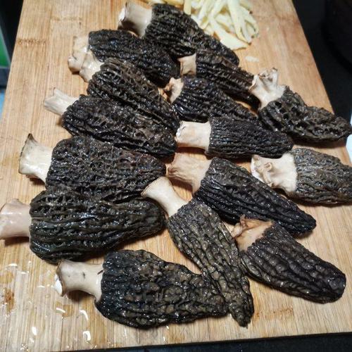 私房羊肚菌,鲜掉眉毛