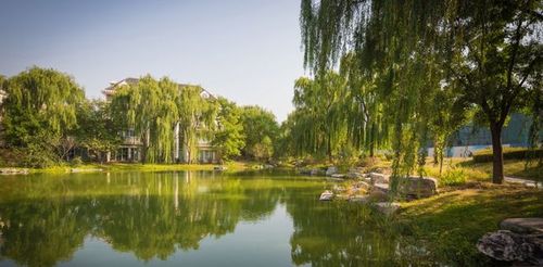 北京丽宫湖岸景观