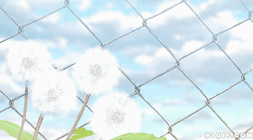 500_278gif 动态图 动图