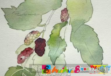 水彩画桑葚步骤教程