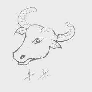 牛头  