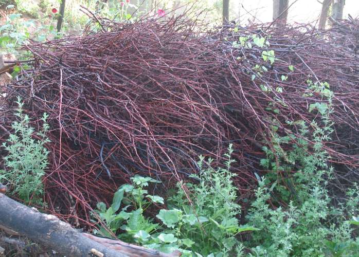 圪针用以指各种带刺的灌木.