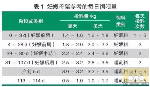 阶段饲养 妊娠母猪 集约化猪场妊娠母猪的饲养管理   母猪在怀孕期间