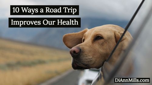 ways   road trip improves our health