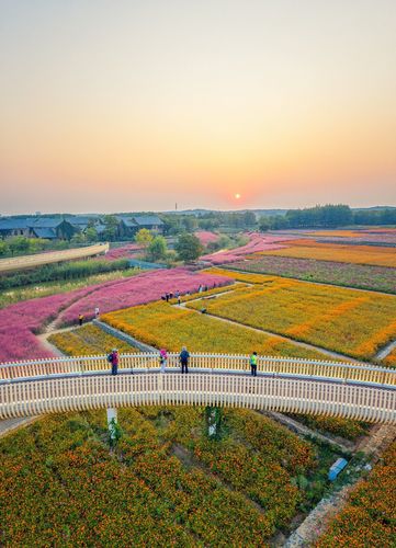宿迁三台山衲田花海景区,惊艳的清晨,游客惊呼
