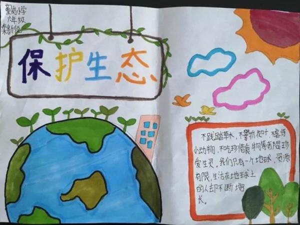 保护生态手抄报