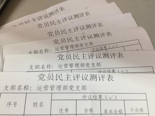 写美篇  四,无记名投票,民主评议党员