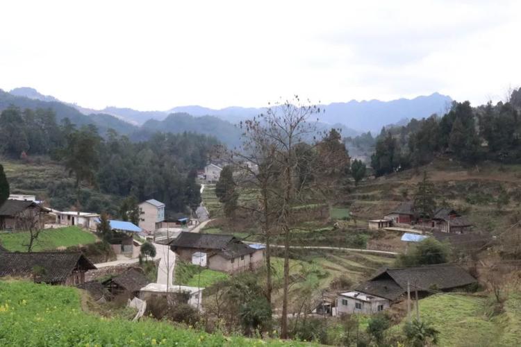  p>聚凤仡佬族侗族乡,简称聚凤乡,隶属贵州省铜仁市石阡县,地处石阡县