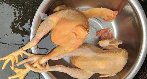 宰杀好的大阉阉鸡特别声明:以上文章内容仅代表作者本人观点,不代表