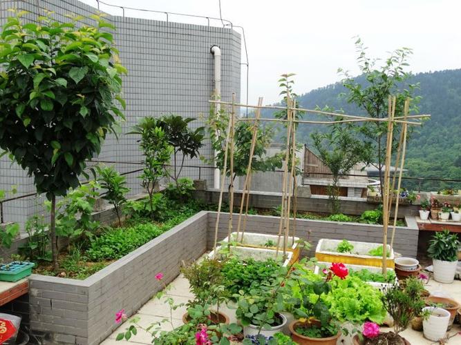 24楼屋顶"养花种菜",网友:咱们做邻居吧!
