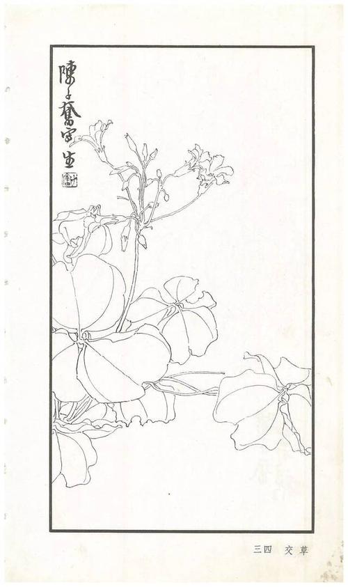 《陈子奋白描花卉册》图赏(多图)