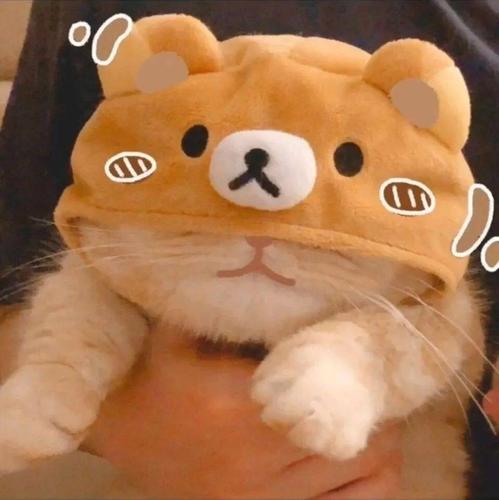 收割招财萌猫头像好运气100000000000