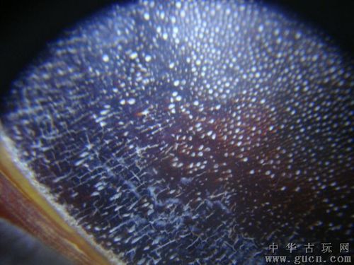 明晚犀牛角雕亚洲爪哇犀牛角 又名香犀