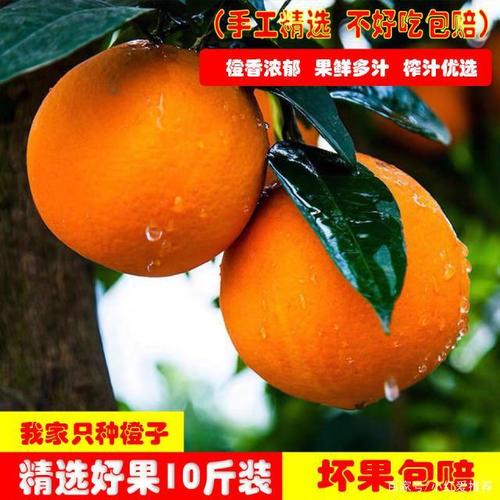 宜昌秭归脐橙很甜