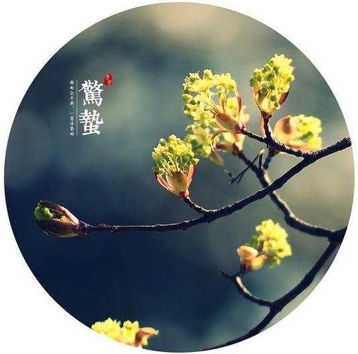 春天里的节气食材