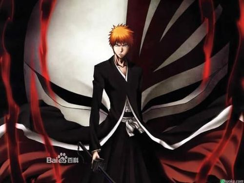 我最爱的动漫人物-----黑崎一护【死神bleach】