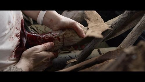 这也能叫丧尸片?全程无尖叫,就只剩下哭