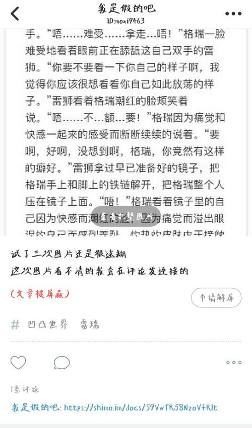 雷瑞- 车是什么,我不懂