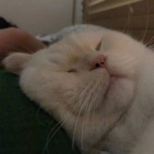 6.23【表情包】又是怨气满满的一天