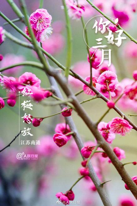 cpa考生三月新目标:做一个健康的人,春暖花开,周游世界