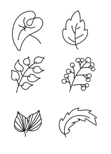 每天学一幅简笔画-一大波花草叶子简笔画素材,存住练习