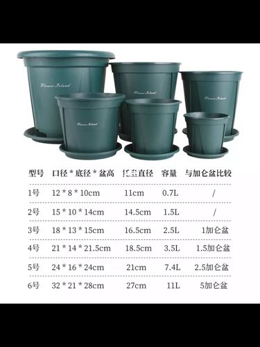 加仑盆青山盆尺寸对比_接头发_养花_新手_家居家装