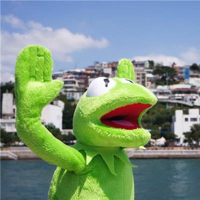 美国正版 supreme 芝麻街 科密特青蛙kermit 毛绒公仔玩具**