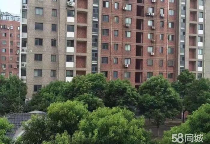 金都华庭 305平别墅6室2厅220万
