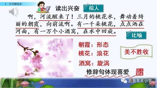 预习导引 || 春季四年级(周四课程)_桃花