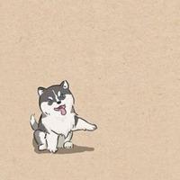 搞笑q版哈士奇头像【点击鼠标右键下载】