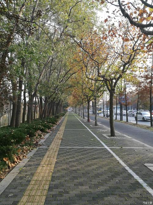 早晨起床,漫步在嘉定区的街道上,感受不到这座城市的百年沧桑,更感受