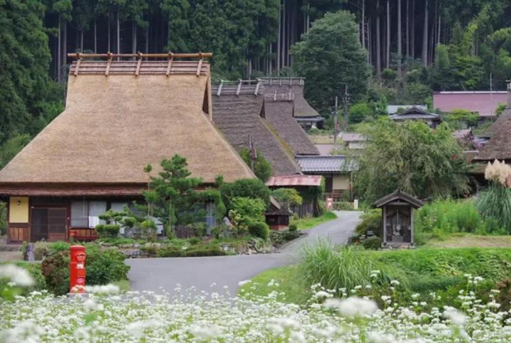 美而不土的日本茅草屋之乡美山町