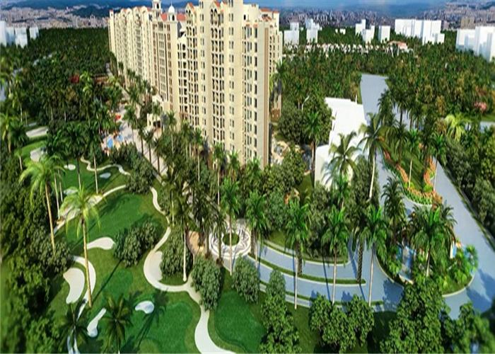 海南福里:足不出户静享咖啡时间漫生活