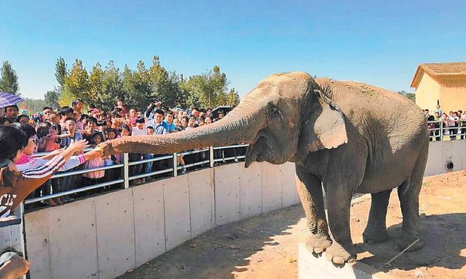 衡水野生动物园国庆七天迎客21万人次_河北新闻网