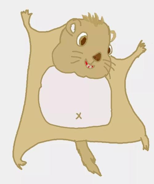 也谈《寒号鸟》这篇课文的习作价值|方法指导