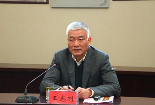科技部党组书记副部长王志刚调研凤阳县小岗村