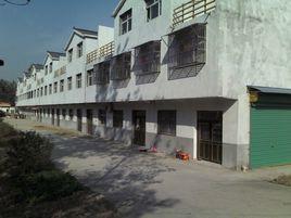 刘圩村(安徽宿州市泗县刘圩镇下辖村)