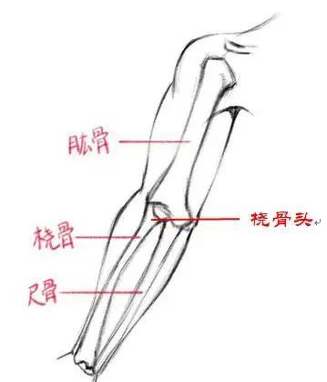 桡骨头粉碎性骨折,直接切除?明基医院骨科有新招!