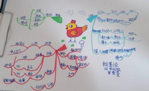 四年四班《母鸡》思维导图集