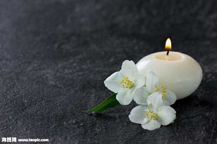 鲜花陪伴蜡烛 图片