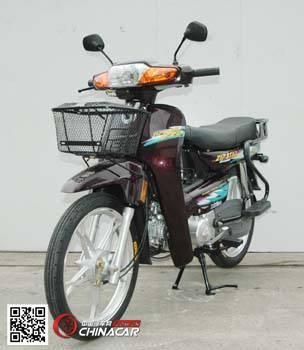 力之星zipstar牌lzx110s型两轮摩托车图片
