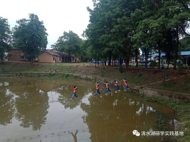清水湖研学实践:汉寿县龙池学校第一批