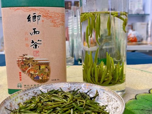 【茗边聚焦】武义茶产业系列报道之⑥乡雨茶业:创品牌二十载 以匠心守